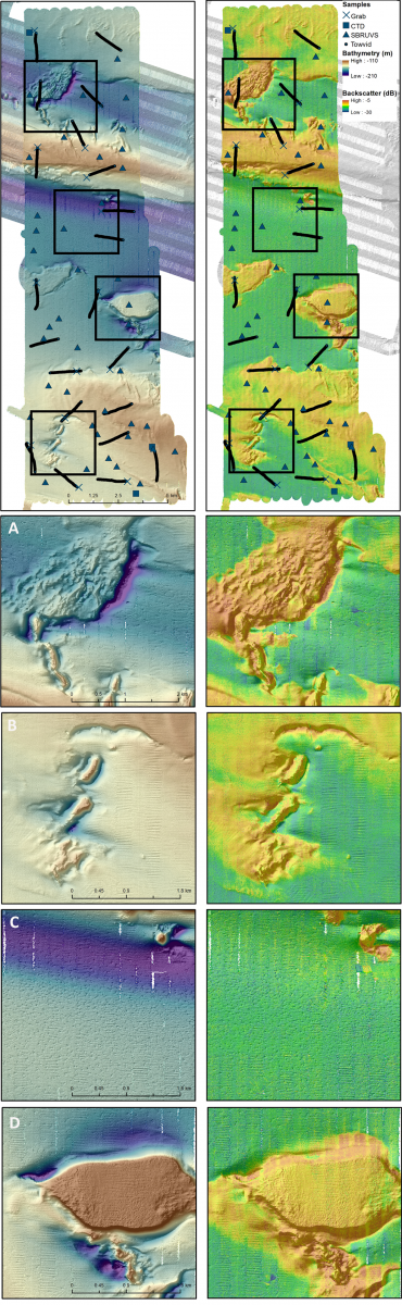 Maps of seafloor features at Pillar Bank in Arafura Marine Park