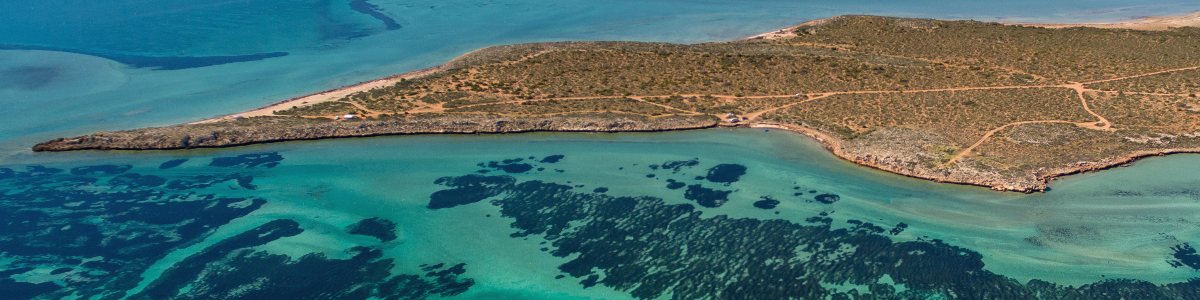 Aerial view of Shark Bay, WA