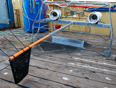 A bailted remote underwater video system on deck