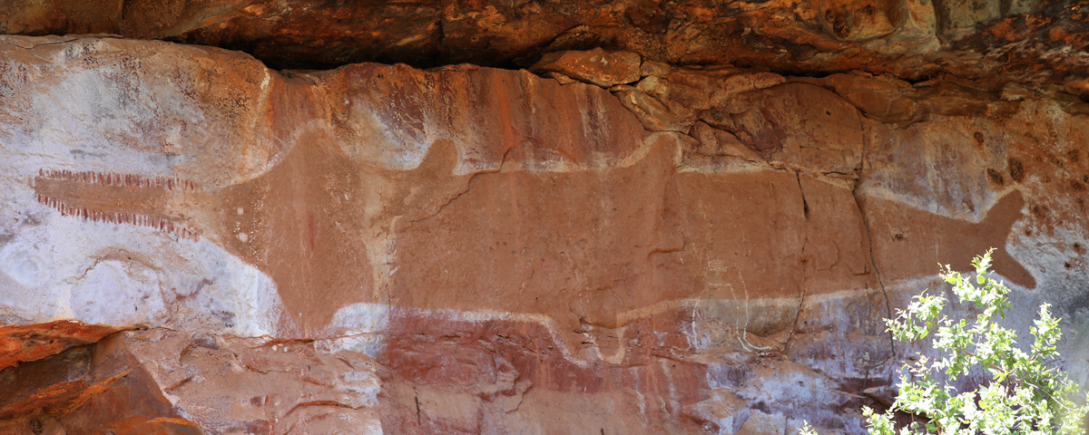 A rock painting of a sawfish